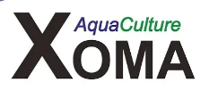 Xoma AB Logo